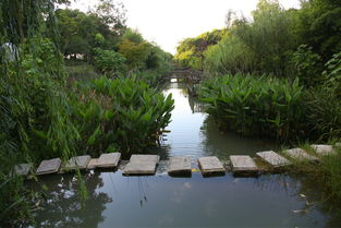 白象灣生態園景點電子門票 當日可訂