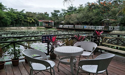 特色客棧專業(yè)團(tuán)隊(duì)在線服務(wù) 海南荷花生態(tài)園