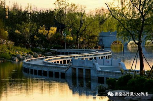 戴河生態(tài)園,秦皇島錦繡藍(lán)圖上的一條精美飄帶