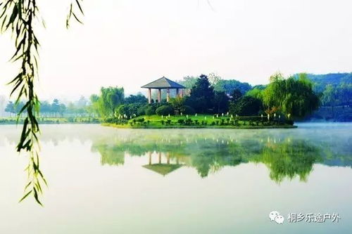 送土雞9月19號(hào)周二 靈谷冬,龍背山,華東百暢生態(tài)園,包門票,包中餐,包無購物,再送鮮活土雞 旅游 網(wǎng)