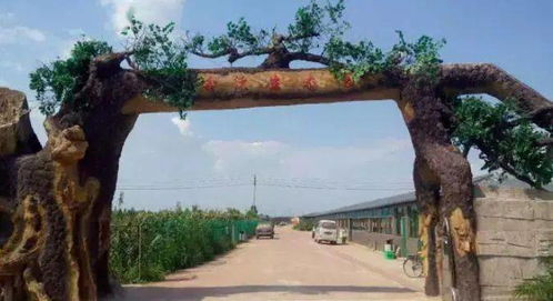 什么 僅需1元即可搶購這個(gè)灤州生態(tài)園的綠色生菜一大顆,這里還有菜地可認(rèn)養(yǎng)