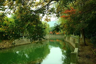 蘇州避暑秘境｜九龍潭生態園 炎夏26℃的清涼天堂，一般人我不告訴TA