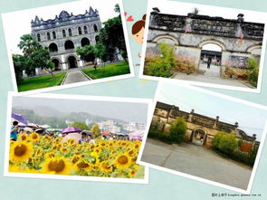 清新、自然，暢聽未來——武宣環豐生態園與九龍潭生態園的生態之旅