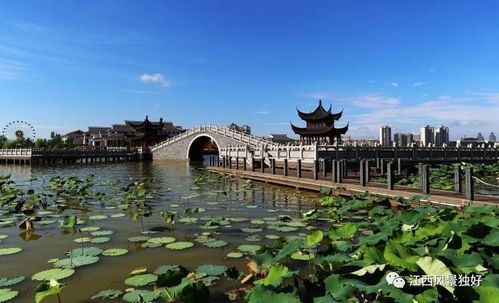 文化是旅游的靈魂，江西文化旅游發展大有可為——以九龍潭生態園為例