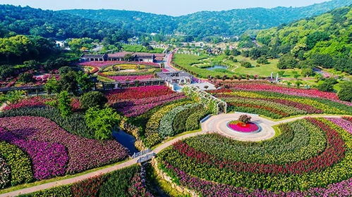 無錫春季太湖灣花美茶香之旅入選鄉村休閑旅游精品線路