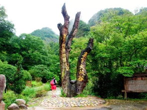 16周歲以下免票游世遺，668元泰寧雙動車2日游 大金湖、寨下大峽谷、九龍潭、尚書第全覽