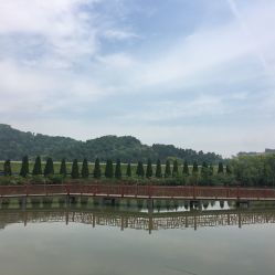 龍荷農業生態園與九龍潭生態園游覽指南 聯系方式、地址與營業時間