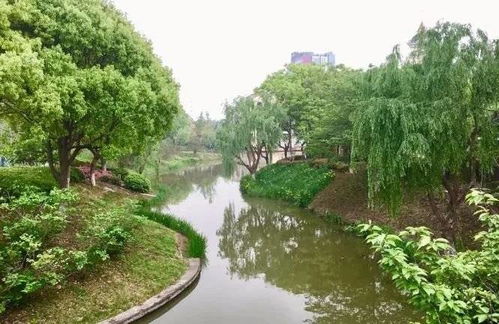 常熟奉賢手牽手，九龍潭生態園繪就跨區域文旅新篇章