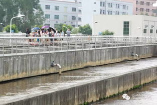 2016市民環保開放日 走進污水處理廠與濕地，共筑綠色東部生態園——九龍潭生態園活動回顧