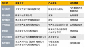 首批區(qū)塊鏈信息服務(wù)備案名單公布，京東、愛(ài)奇藝等互聯(lián)網(wǎng)巨頭積極布局